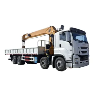 Grue à flèche rigide de 16 tonnes ISUZU